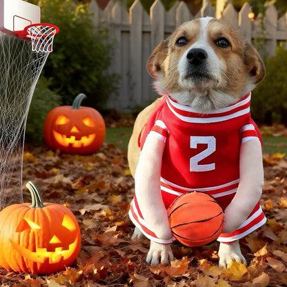 Get Your Pup Ready for Halloween with Our Fun Basketball Cosplay Costume - Perfect for Dogs and Cats of All Sizes!